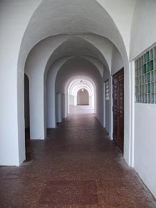 ORAN SANTA CRUZ (271)